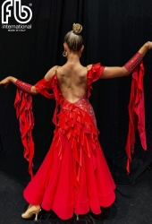 Standard/Smooth dress