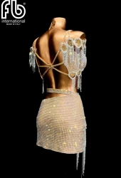 NEW latin dress