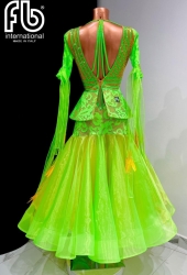 Standard/Smooth dress